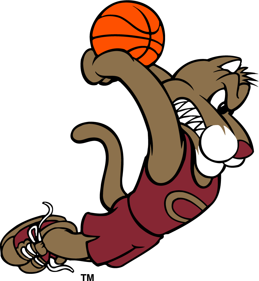 College of Charleston Cougars 1997-2003 Mascot Logo diy iron on heat transfer